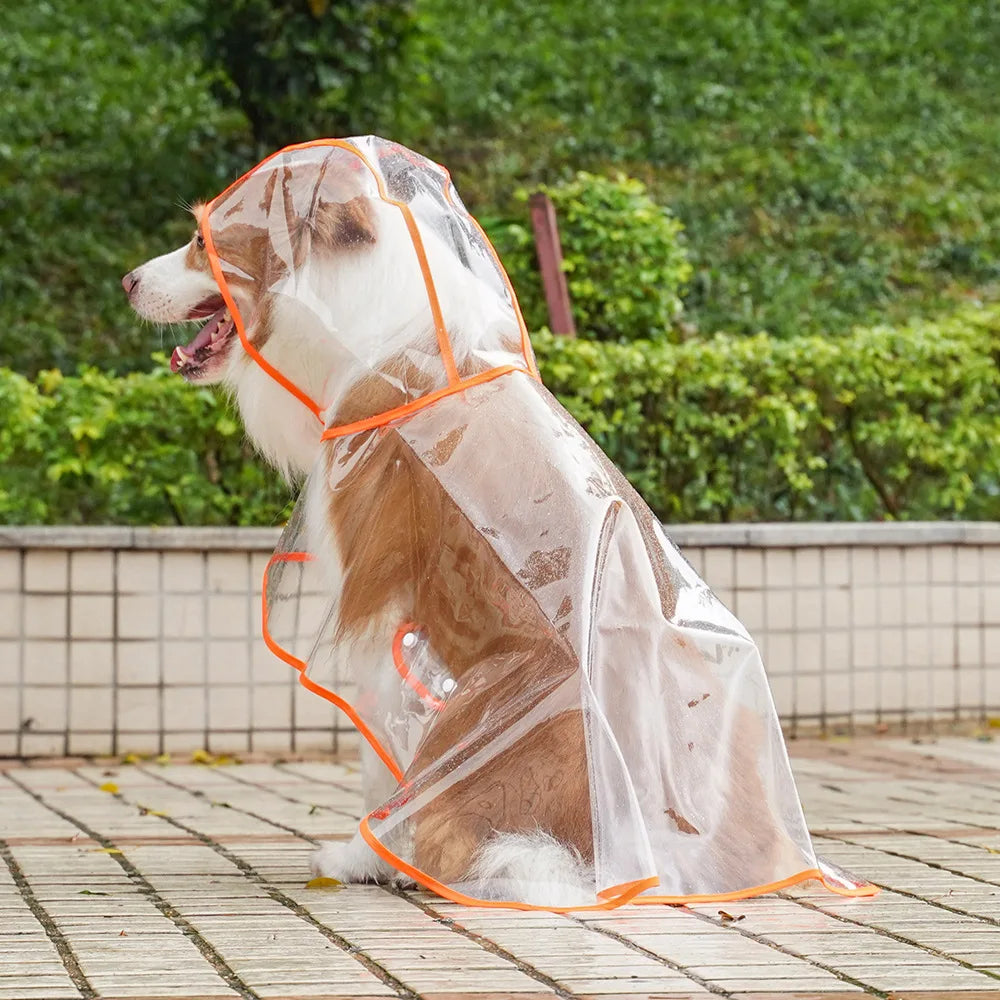 Transparent Plastic Puppy Rain Poncho Rainwear